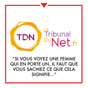 Article on Le Tribunal Du Net