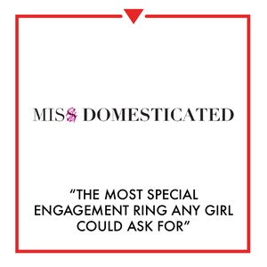 Article on Miss Domesticated